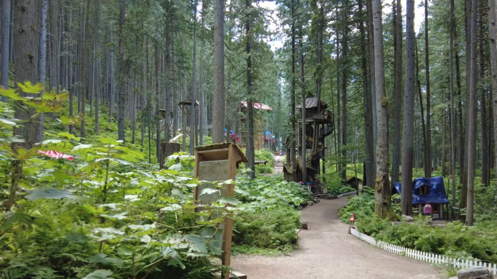 Enchanted forest Revelstoke