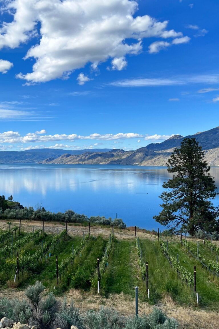 The Most Affordable Okanagan Getaway: 2 day Itinerary in Summerland