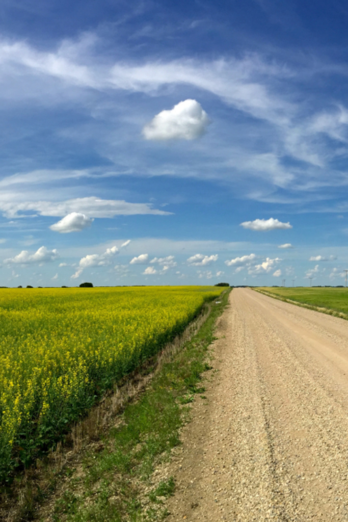 Prairie road, Saksatchewan