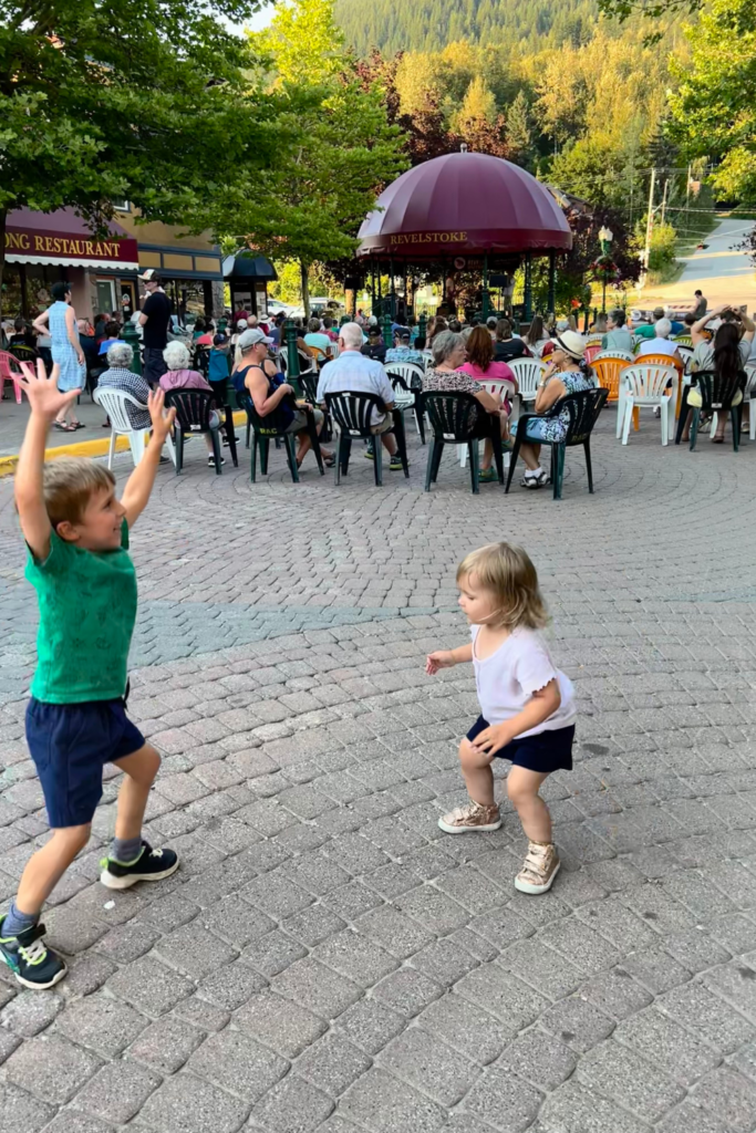 Revelstoke in summer