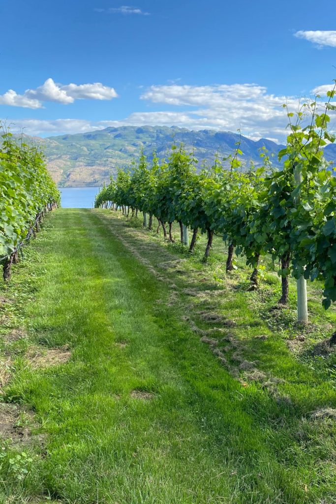 west kelowna spring bud bread winery