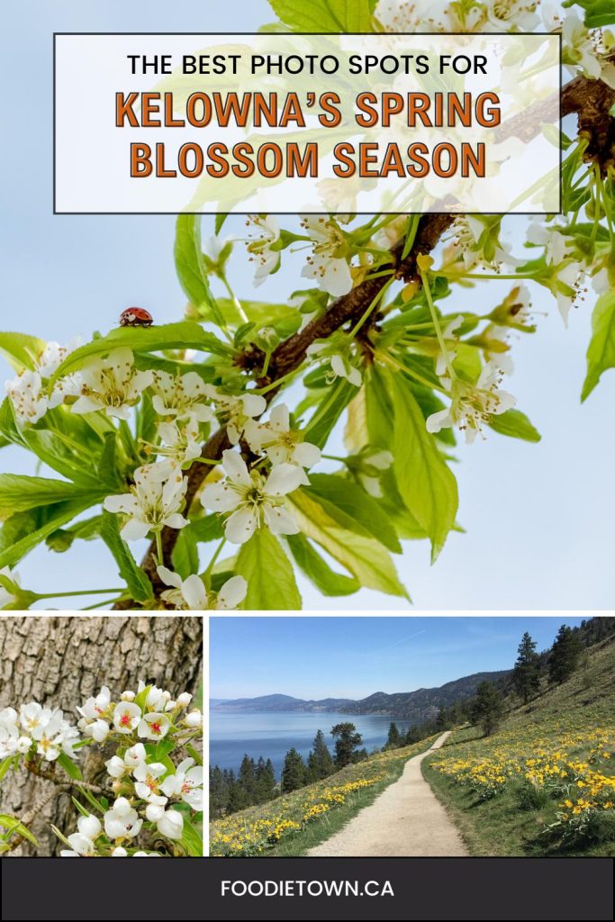 Kelowna spring blossom season