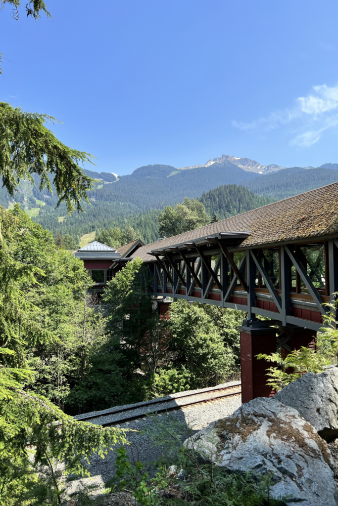 Bike Whistler - Use my map to explore Whistler and stop at a few amazing patios!