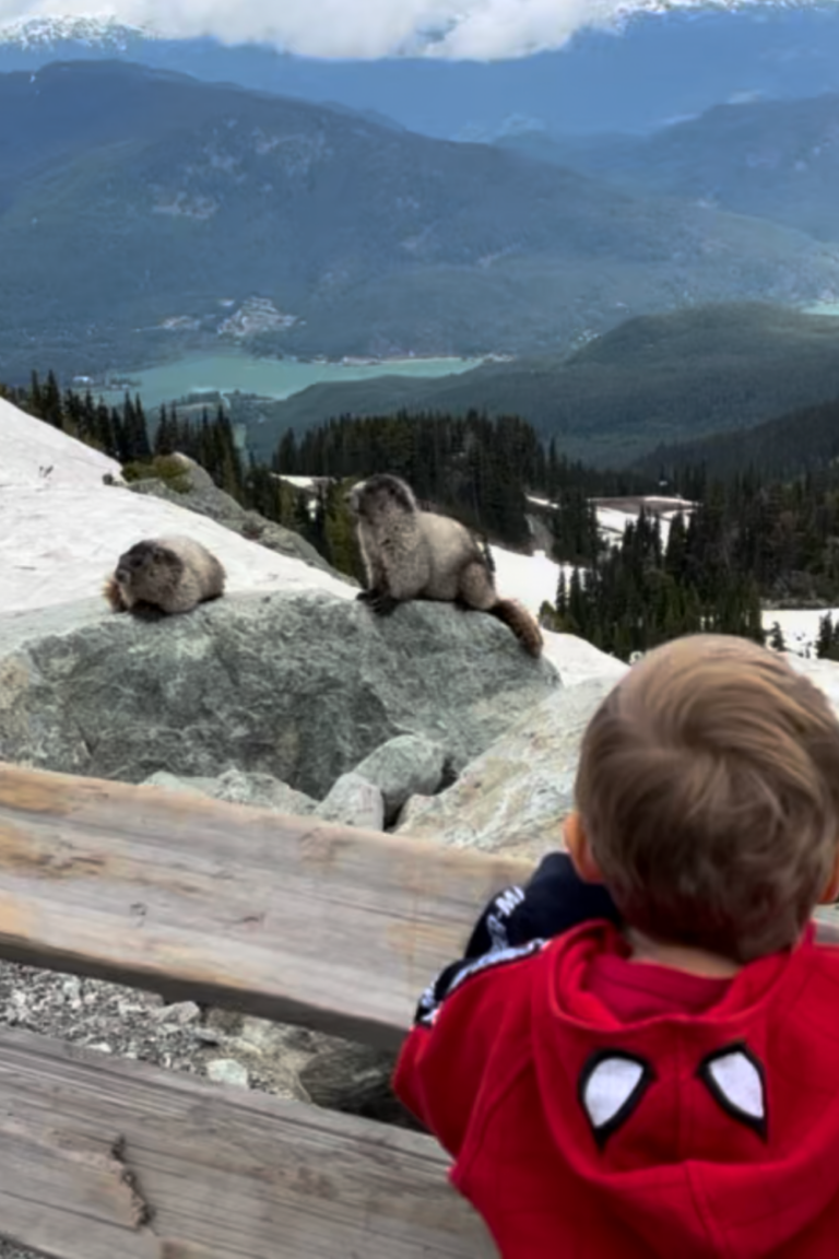 Things to do in Whistler with young kids. Everyone will enjoy these activities and spots to eat!
