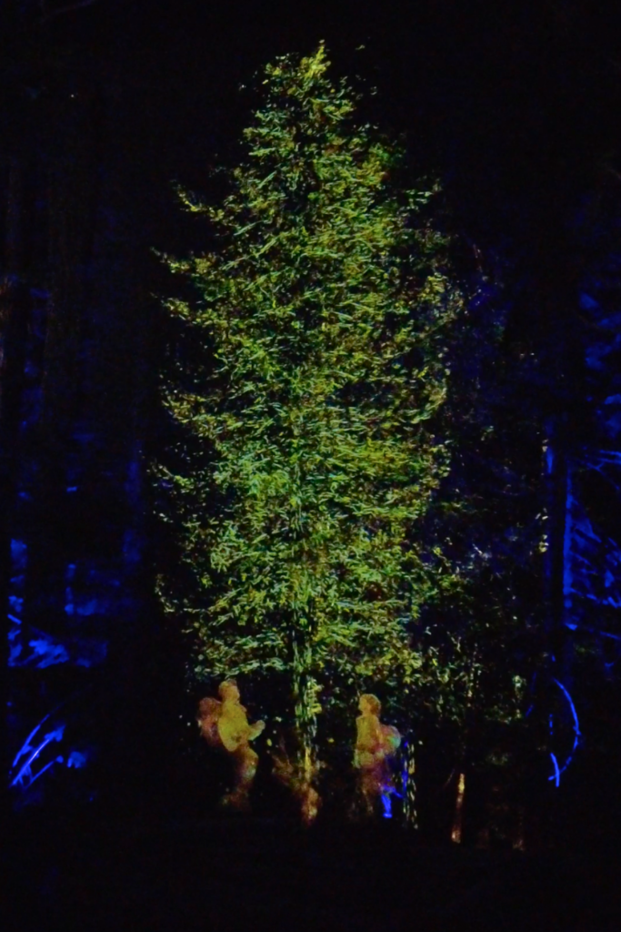 Vallea Lumina in Whistler