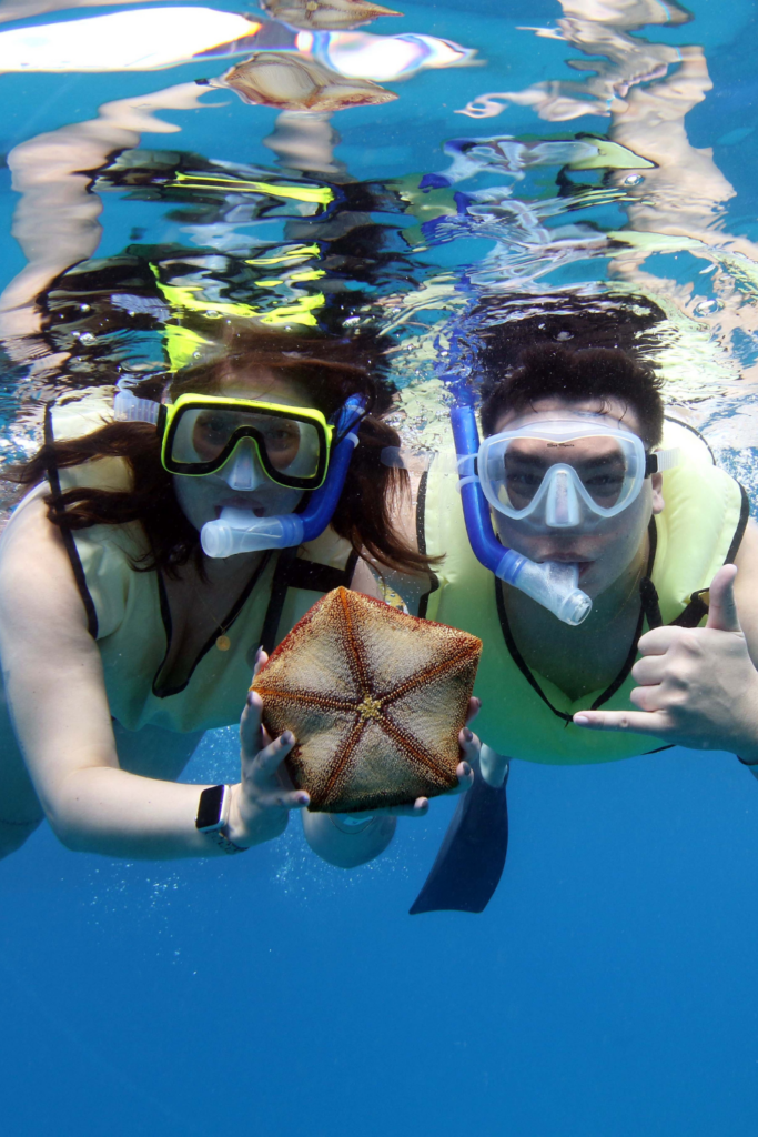 Rent a car and drive around Oahu to get a taste of true Hawaii. I like to stop at these beaches but I also have some tour suggestions if you don't want to rent a car.
Oahu beaches and the Oahu's best tours