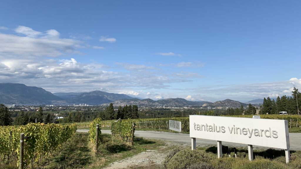 Kelowna wineries and where to eat, tour or skip - plus the best wine tours for your budget and occasion. foodietown.ca